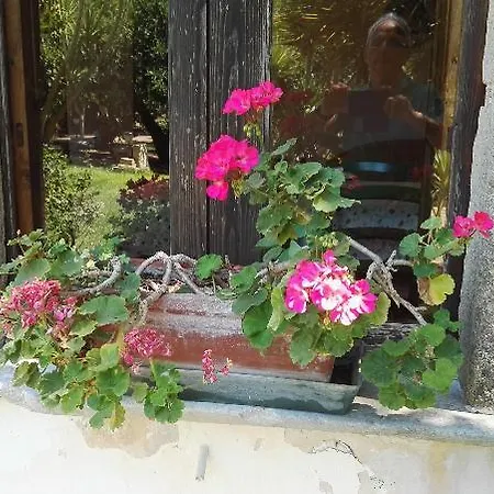 Zottopera