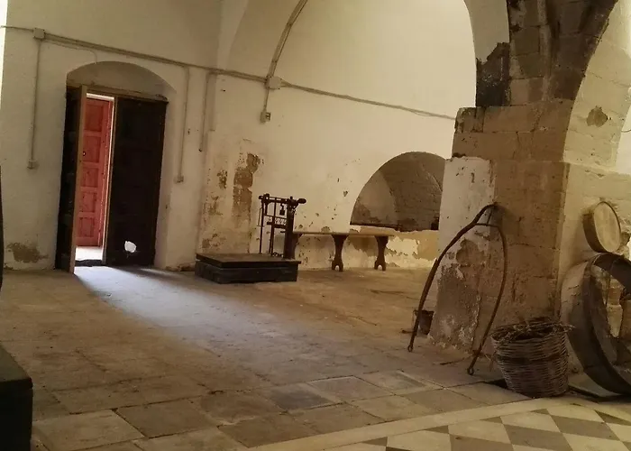 Zottopera 3*