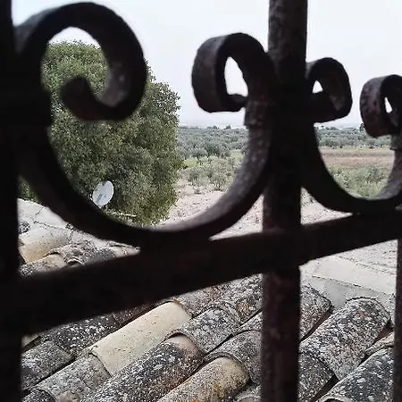 Zottopera 3*